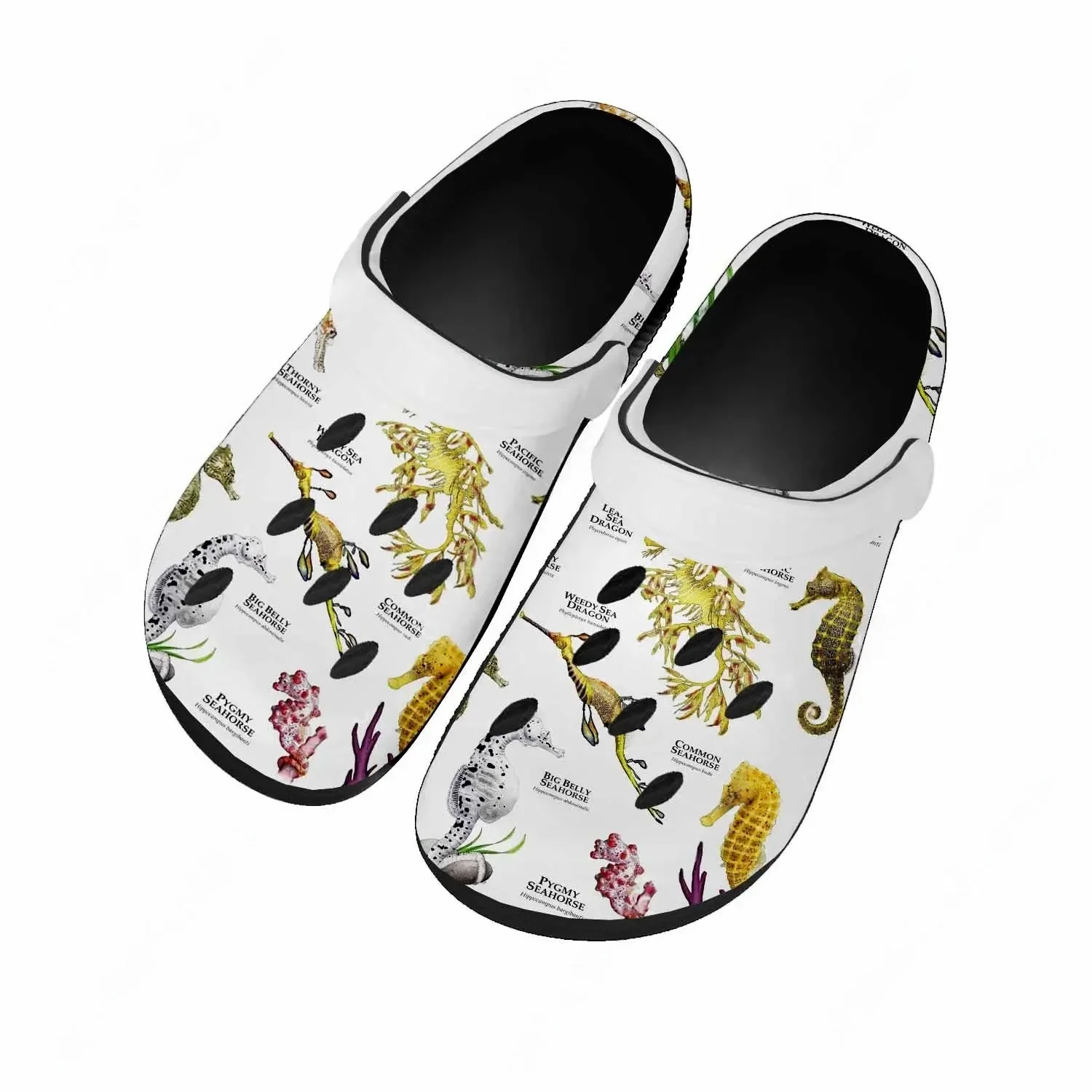 Seahorse Sandals Women Teenage - Men'S Shoes Quality ulasan dan harga
